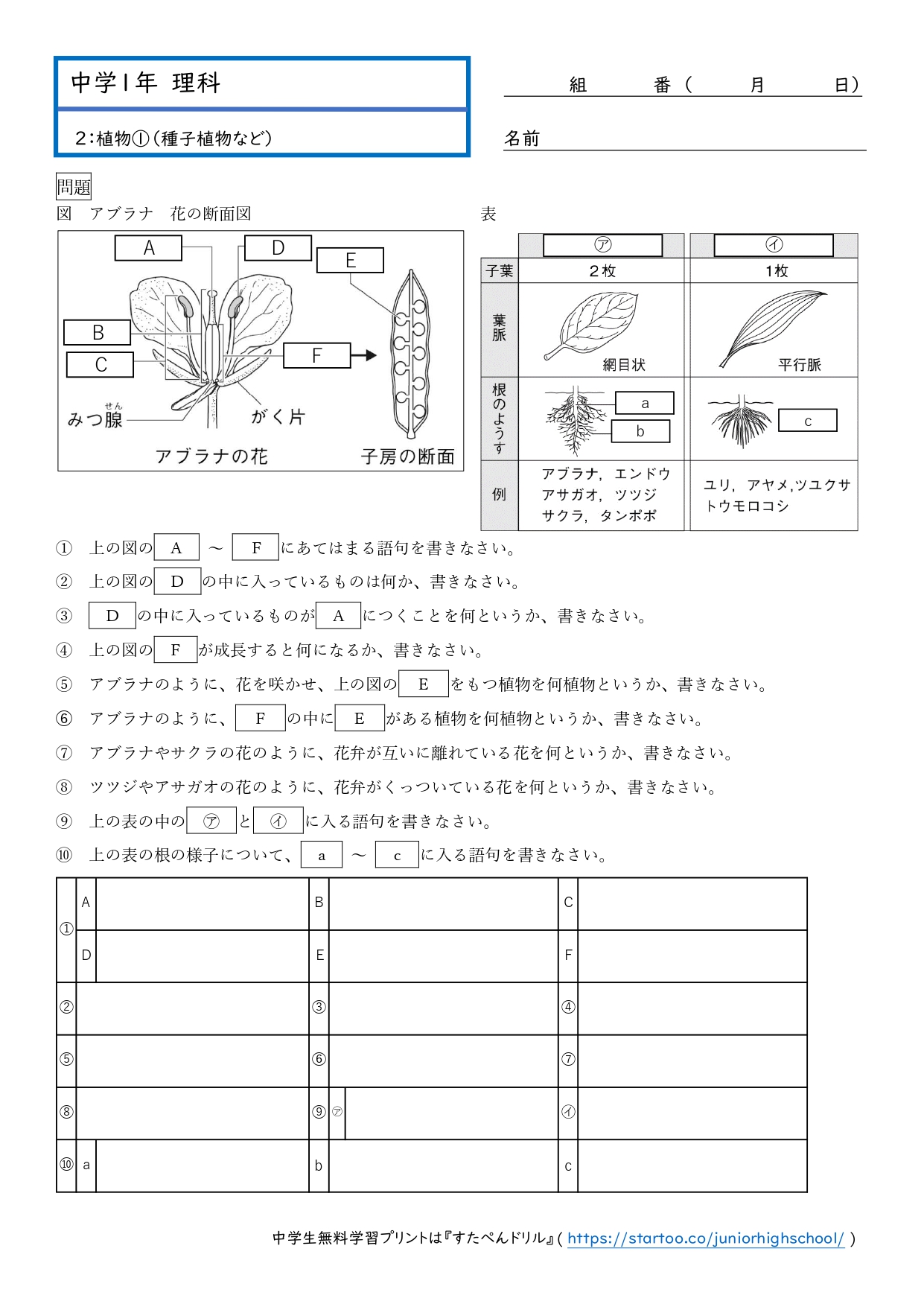 中1理科「植物の分類｜種子植物など」学習プリント無料ダウンロード・印刷